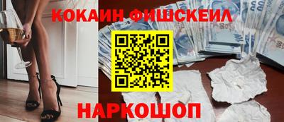 гашик Можга