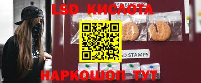 spice Моздок