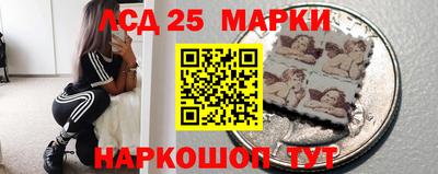 spice Моздок