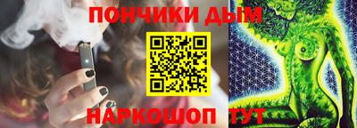 гашик Можга