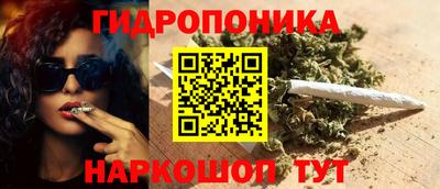 гашик Можга