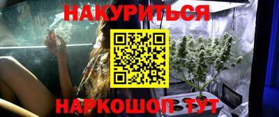 spice Моздок